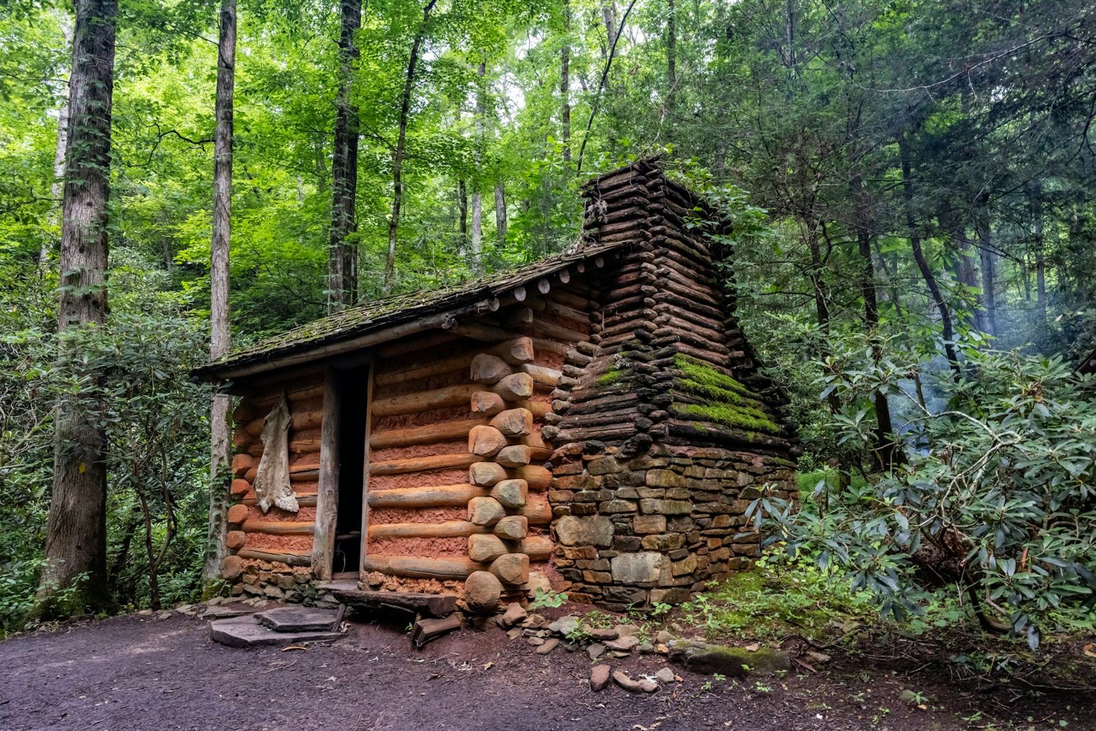 A log cabin in a green forest